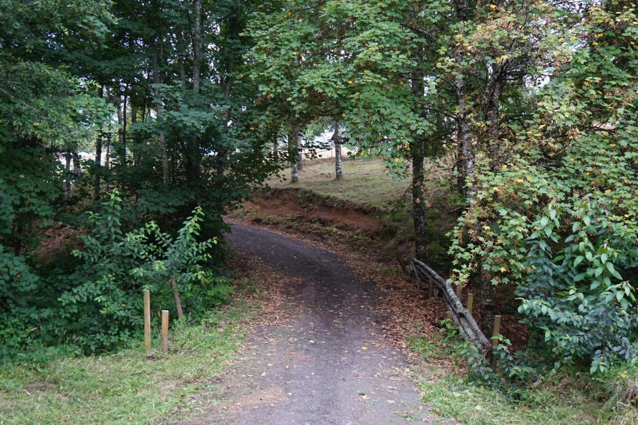 Cabanas Am Berg Pucón Zewnętrze zdjęcie