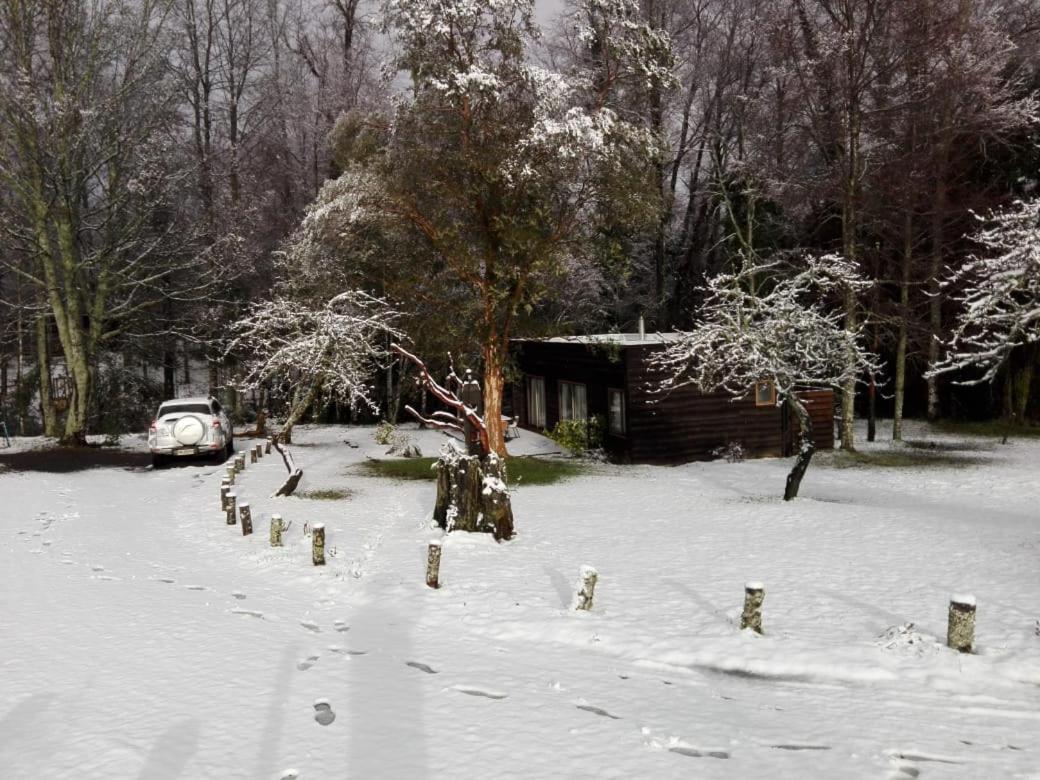 Cabanas Am Berg Pucón Zewnętrze zdjęcie