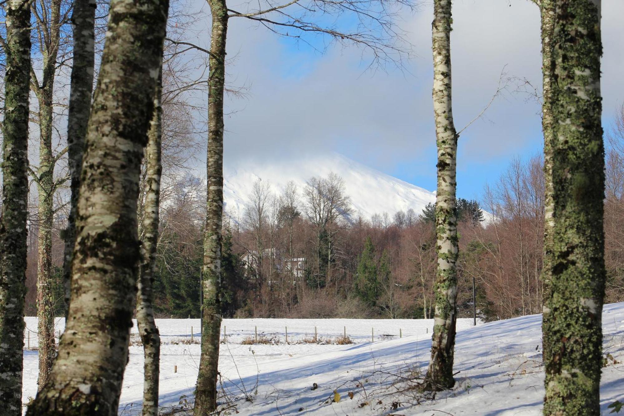 Cabanas Am Berg Pucón Zewnętrze zdjęcie