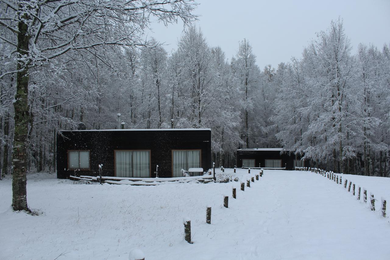 Cabanas Am Berg Pucón Zewnętrze zdjęcie