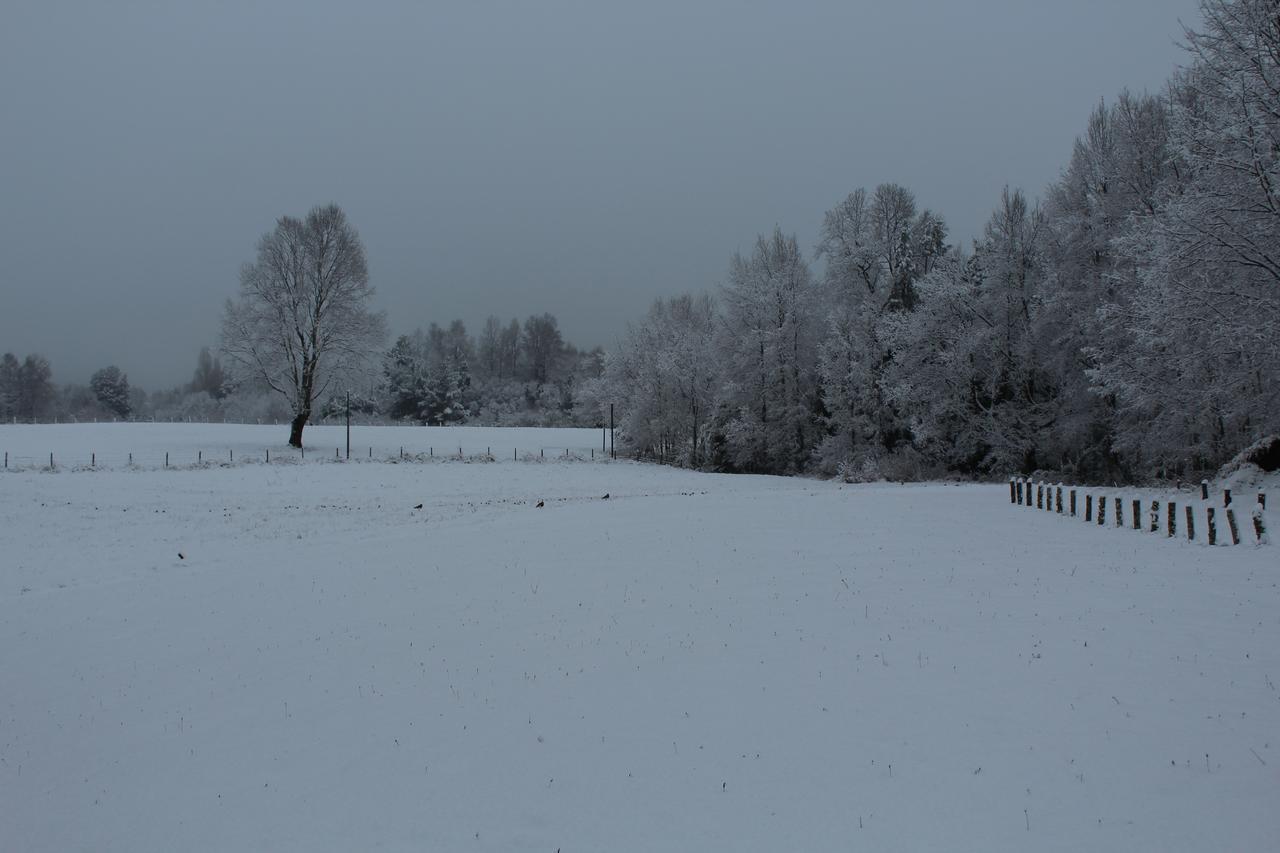 Cabanas Am Berg Pucón Zewnętrze zdjęcie